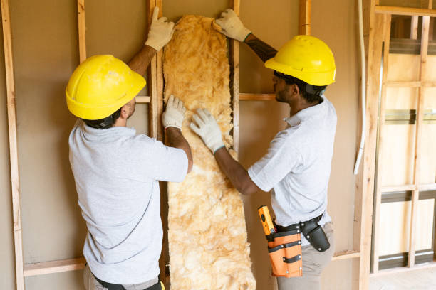 Best Cellulose Insulation  in USA